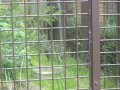 IMGP0867.JPG